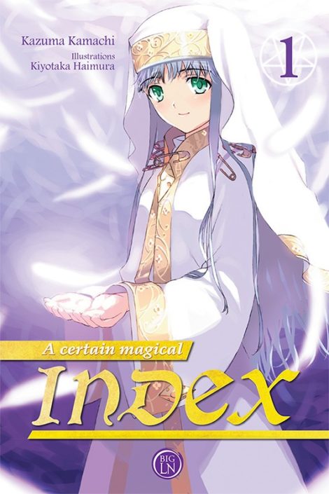 A Certain Magical Index